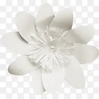 纸花素材图片