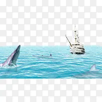 海洋海豚船只背景素材