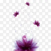 漂浮的紫色花朵