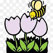 蜜蜂花丛中采蜜