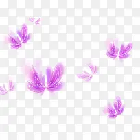 装饰花朵