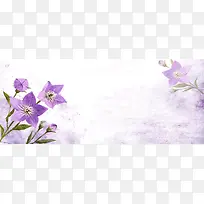 紫色背景