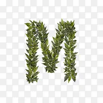 绿叶字母m