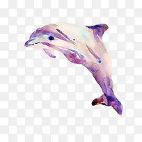海豚水彩画素材图片