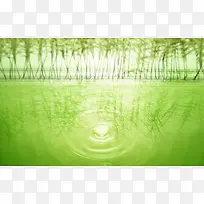 绿色水潭竹林海报背景