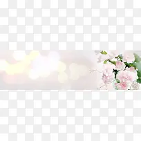 唯美淘宝广告banner