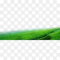 茶山