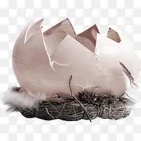 鸟巢蛋破壳装饰图案