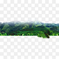 茶园风景元素