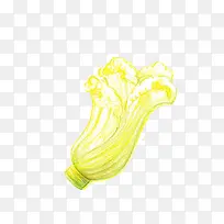 小清新简约水彩手绘黄色白菜