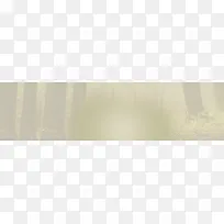 迷雾树林