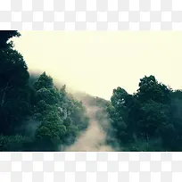 环境渲染树林森林雾气