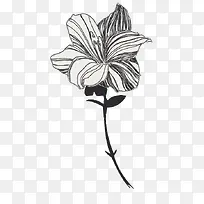 矢量手绘黑白花朵