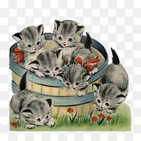 木桶里的猫星人