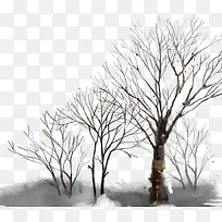 冬天的树