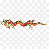 彩色斑点纹凶煞长龙