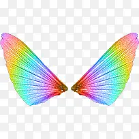 飞蛾翅膀PNG透明背景素材