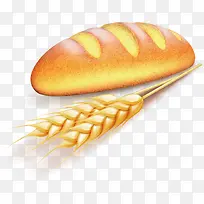 麦子面包矢量图