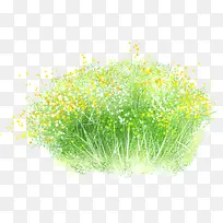 手绘户外清新花草植物