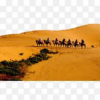 沙漠骆驼与人