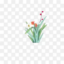 水仙花，中国画，植物