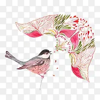 水彩动物喜鹊手绘插画