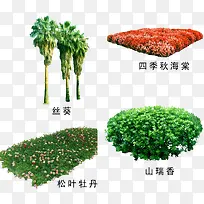 绿植树木素材