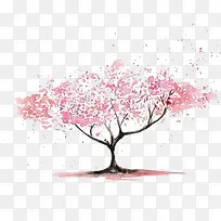 樱花树木