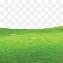 草地