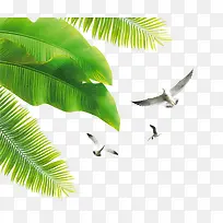 飞鸟椰树设计高清