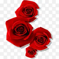 创意摄影送给情人的礼物红色玫瑰花