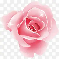 粉色浪漫唯美花朵星光