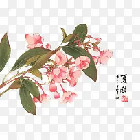 唯美花卉图案素材 中国画花朵