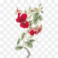 花枝