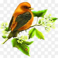 花鸟装饰图案logo社
