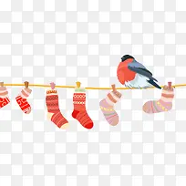 小鸟停在晾袜绳子上