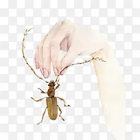 插画纤细的手