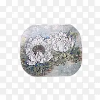 天山上的雪莲花插画