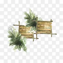 绿色植物