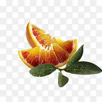 切开血橙水果树叶