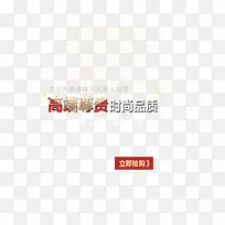 精选箱包奢华艺术字体文字排版