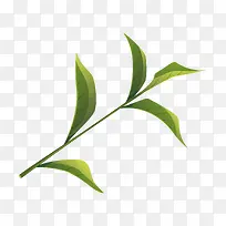 绿色茶叶
