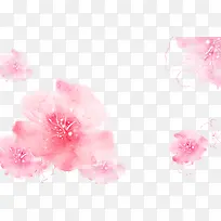 粉红彩绘樱花花朵漂浮