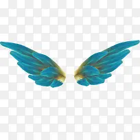 蓝色翅膀图案