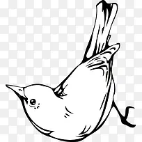 矢量小鸟