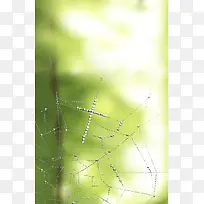 蜘蛛网油画背景