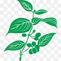 草药