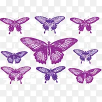 矢量紫色蝴蝶