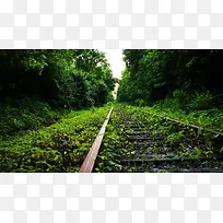 树林下荒废的铁路