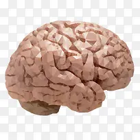 矢量晶格化的大脑